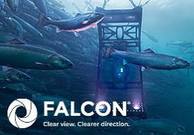 Automatisk lusetelling